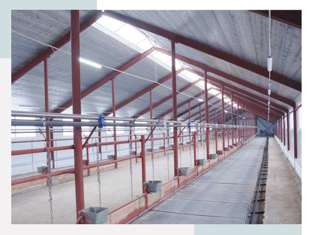 Строительство коровников в Пензе от 616 руб.