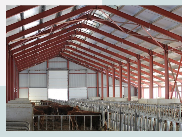 Строительство коровников в Пензе