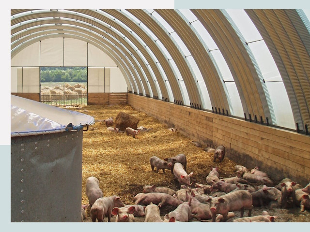 Строительство свинарников в Пензе