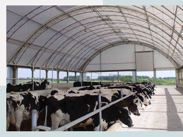 Тентовые коровники в Пензе