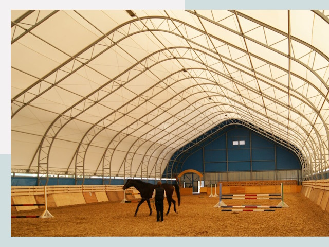 Строительство конных манежей в Пензе